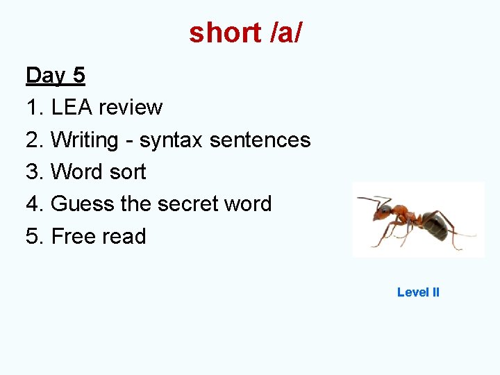 short /a/ Day 5 1. LEA review 2. Writing - syntax sentences 3. Word