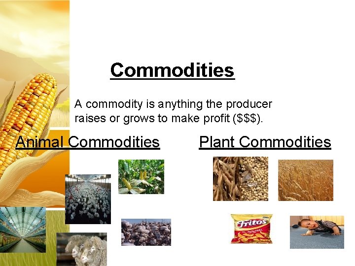 Commodities A commodity is anything the producer raises or grows to make profit ($$$).