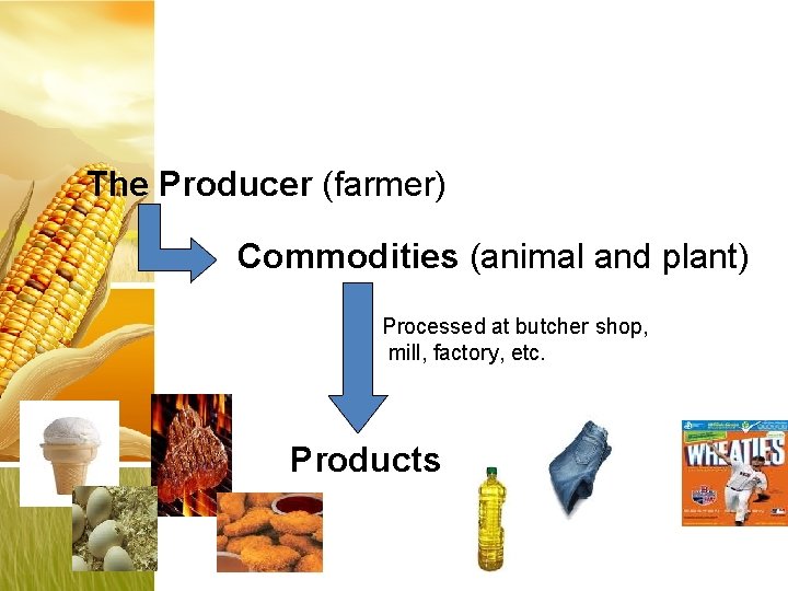 The Producer (farmer) Commodities (animal and plant) Processed at butcher shop, mill, factory, etc.