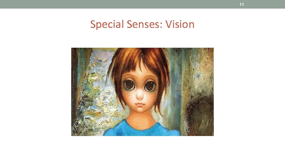 11 Special Senses: Vision 