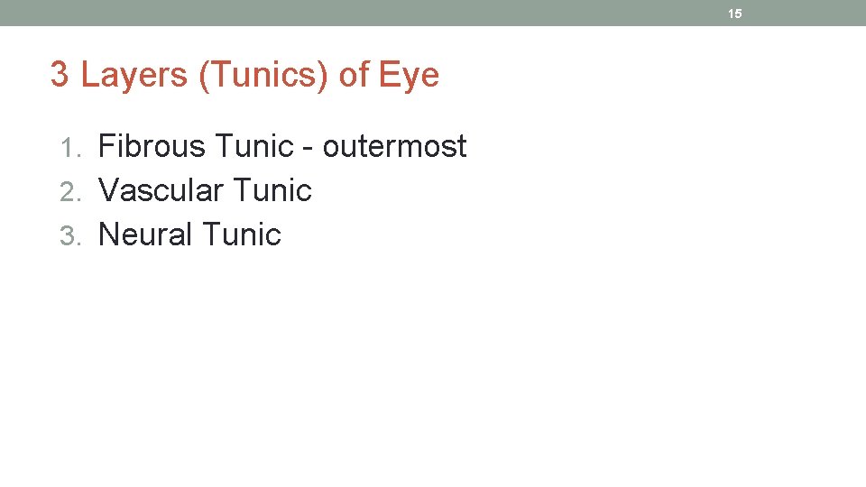 15 3 Layers (Tunics) of Eye 1. Fibrous Tunic - outermost 2. Vascular Tunic