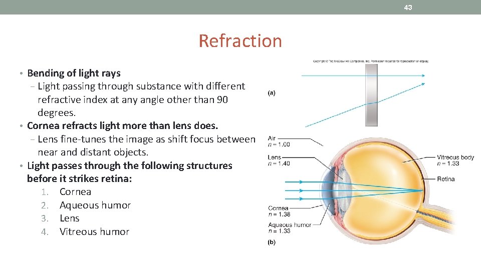 43 Refraction • Bending of light rays − Light passing through substance with different