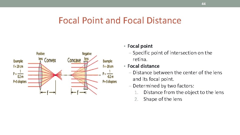 44 Focal Point and Focal Distance • Focal point ‒ Specific point of intersection