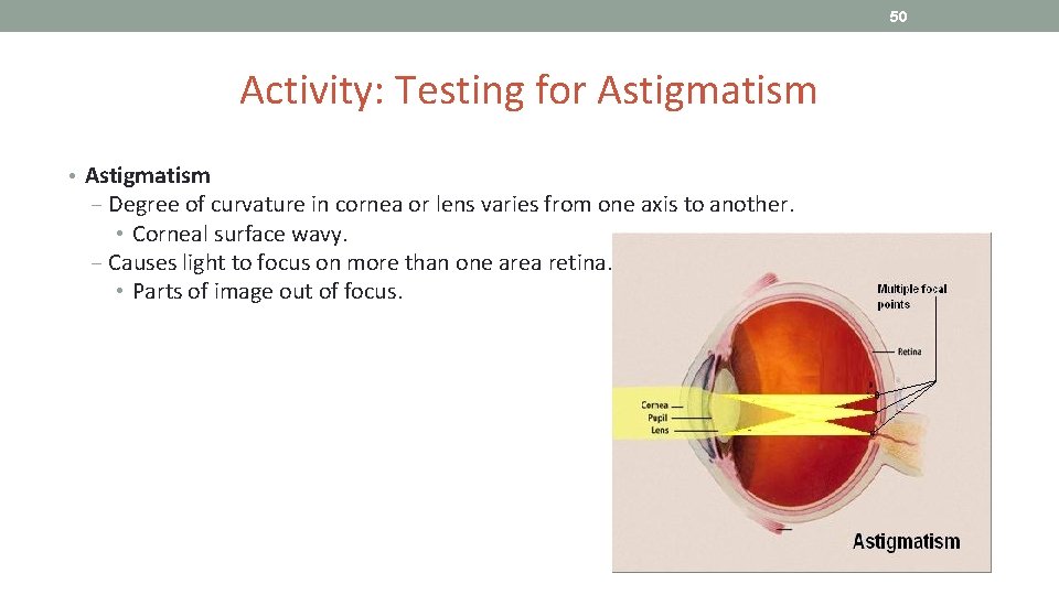 50 Activity: Testing for Astigmatism • Astigmatism ‒ Degree of curvature in cornea or