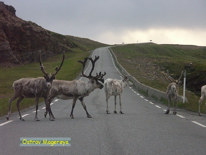 Ostrov Magerøya 