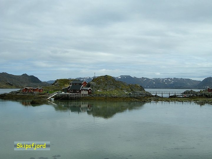 Skipsfjord 