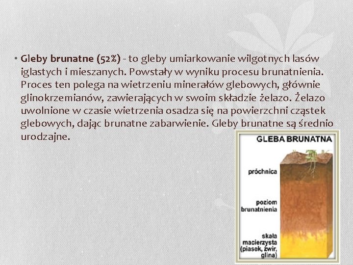  • Gleby brunatne (52%) - to gleby umiarkowanie wilgotnych lasów iglastych i mieszanych.