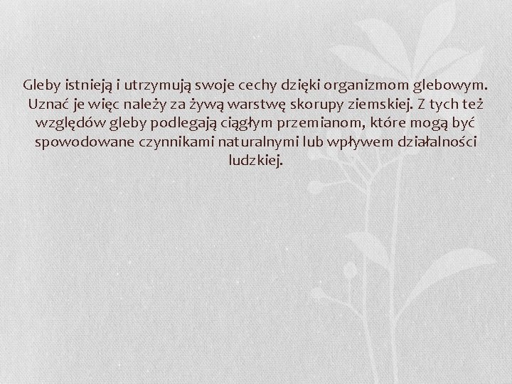 Gleby istnieją i utrzymują swoje cechy dzięki organizmom glebowym. Uznać je więc należy za