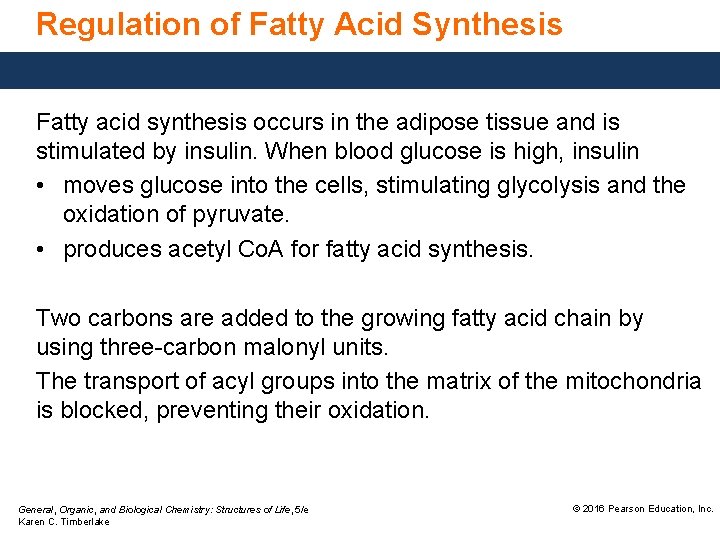 Regulation of Fatty Acid Synthesis Fatty acid synthesis occurs in the adipose tissue and