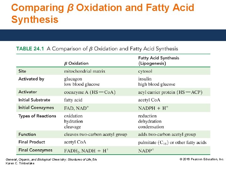 Comparing β Oxidation and Fatty Acid Synthesis General, Organic, and Biological Chemistry: Structures of