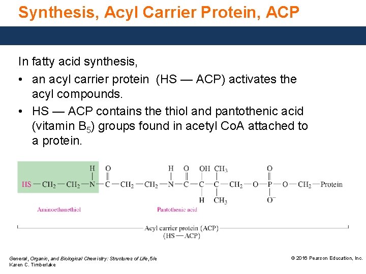 Synthesis, Acyl Carrier Protein, ACP In fatty acid synthesis, • an acyl carrier protein