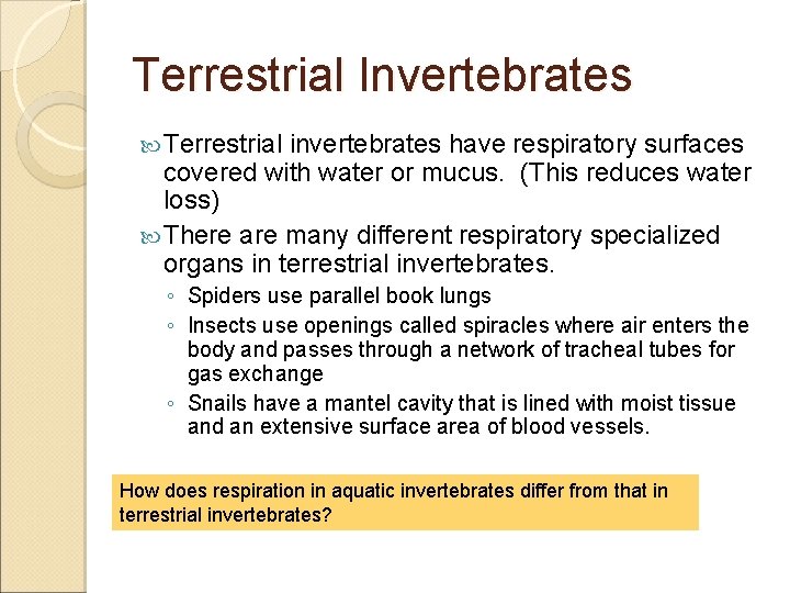 Terrestrial Invertebrates Terrestrial invertebrates have respiratory surfaces covered with water or mucus. (This reduces