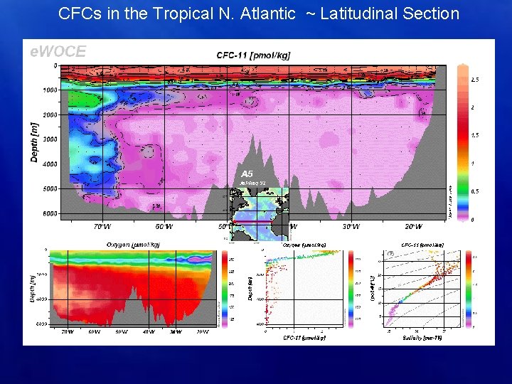 CFCs in the Tropical N. Atlantic ~ Latitudinal Section 