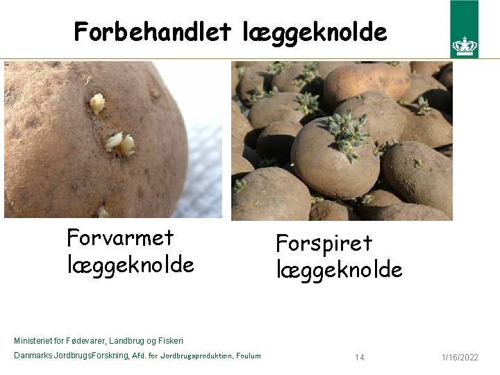 Forbehandlet læggeknolde Forvarmet læggeknolde Forspiret læggeknolde Ministeriet for Fødevarer, Landbrug og Fiskeri Danmarks Jordbrugs.