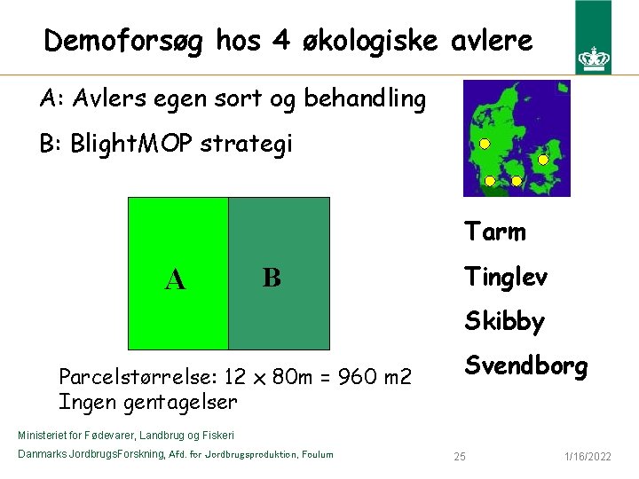 Demoforsøg hos 4 økologiske avlere A: Avlers egen sort og behandling B: Blight. MOP