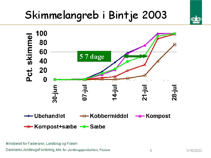 Skimmelangreb i Bintje 2003 5 -6 7 dage Ministeriet for Fødevarer, Landbrug og Fiskeri