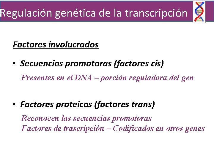 Regulación genética de la transcripción Factores involucrados • Secuencias promotoras (factores cis) Presentes en