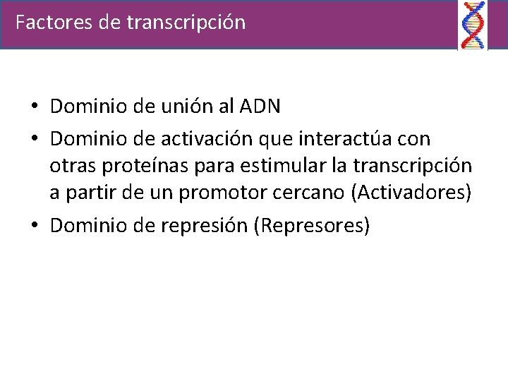 Factores de transcripción • Dominio de unión al ADN • Dominio de activación que
