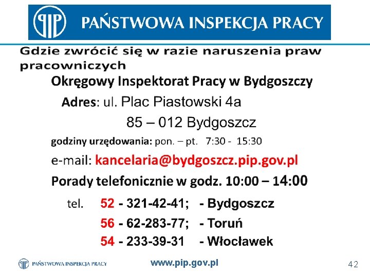 www. pip. gov. pl 42 