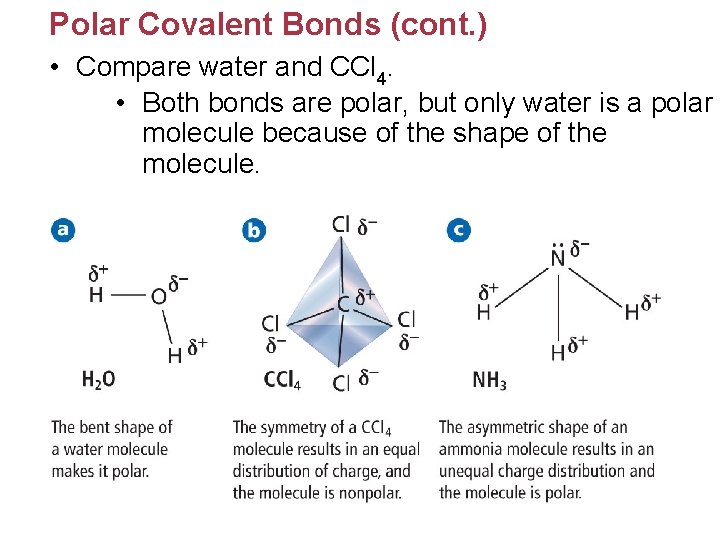 Polar Covalent Bonds (cont. ) • Compare water and CCl 4. • Both bonds