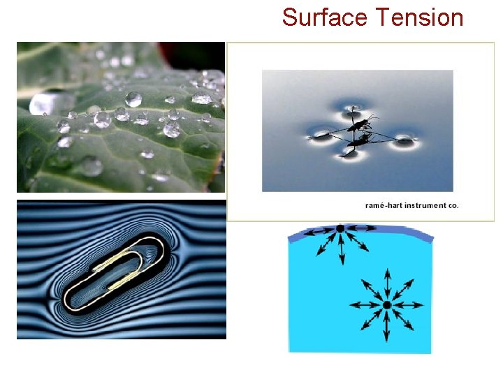 Surface Tension 