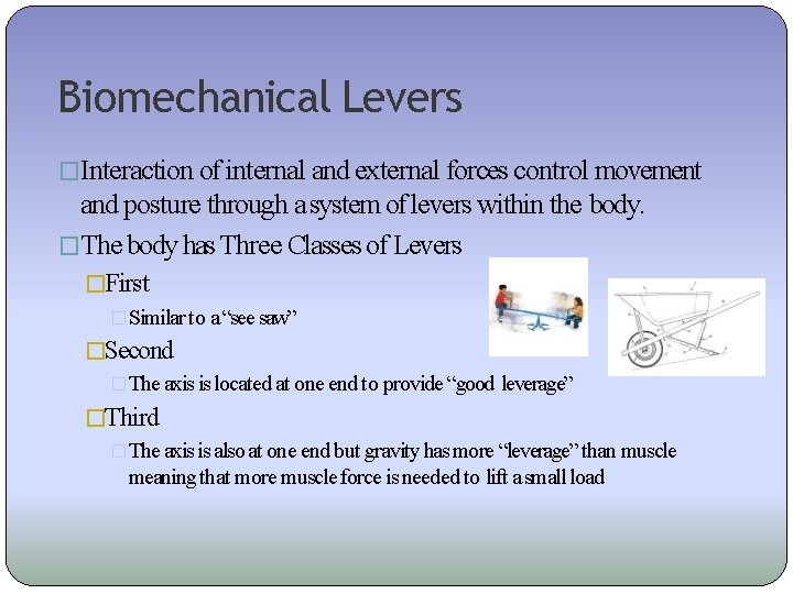 Biomechanical Levers �Interaction of internal and external forces control movement and posture through a