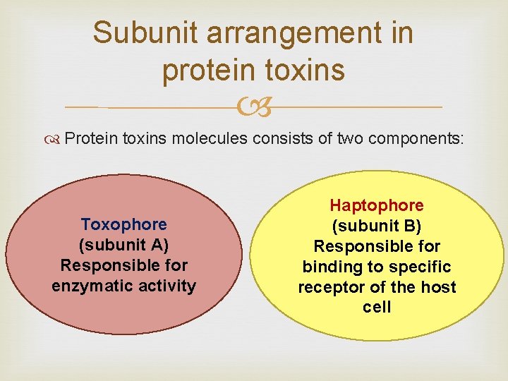 Subunit arrangement in protein toxins Protein toxins molecules consists of two components: Toxophore (subunit