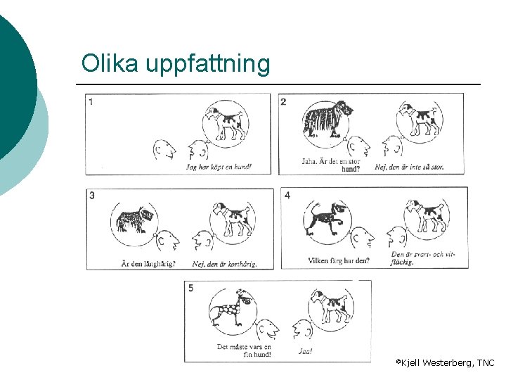 Olika uppfattning ©Kjell Westerberg, TNC 