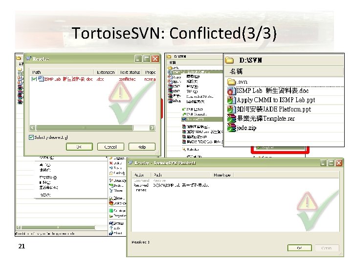 Tortoise. SVN: Conflicted(3/3) 21 