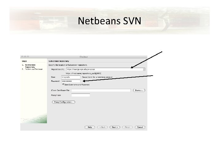 Netbeans SVN URL of server that hosts svn Your username and Password on that