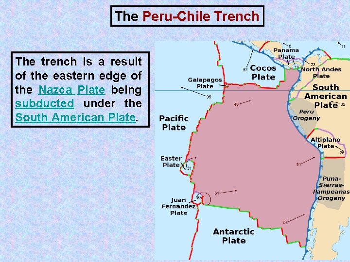 The Peru-Chile Trench The trench is a result of the eastern edge of the