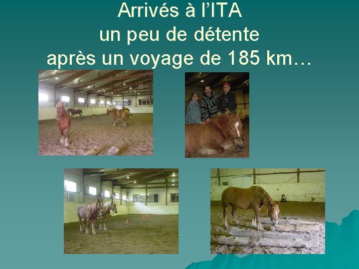 Arrivés à l’ITA un peu de détente après un voyage de 185 km… 
