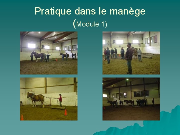 Pratique dans le manège (Module 1) 