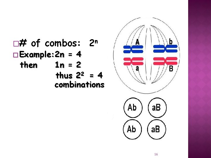 �# of combos: 2 n � Example: 2 n then = 4 1 n