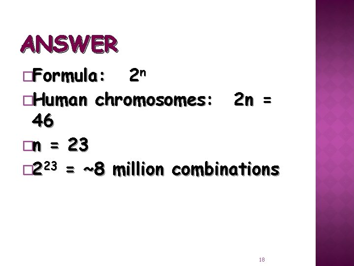 ANSWER �Formula: 2 n �Human chromosomes: 2 n = 46 �n = 23 �