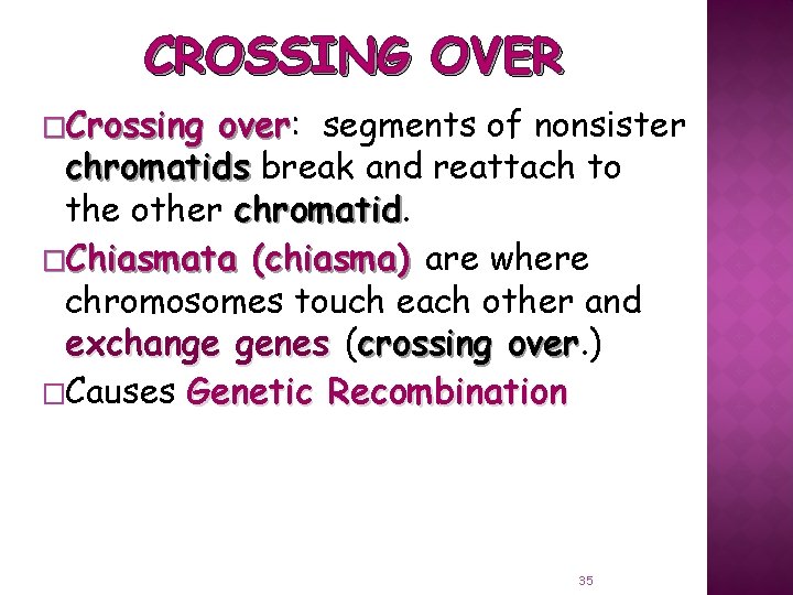 CROSSING OVER �Crossing over: over segments of nonsister chromatids break and reattach to the