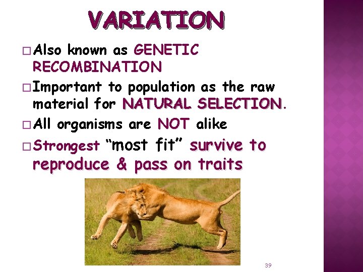 VARIATION � Also known as GENETIC RECOMBINATION � Important to population as the raw