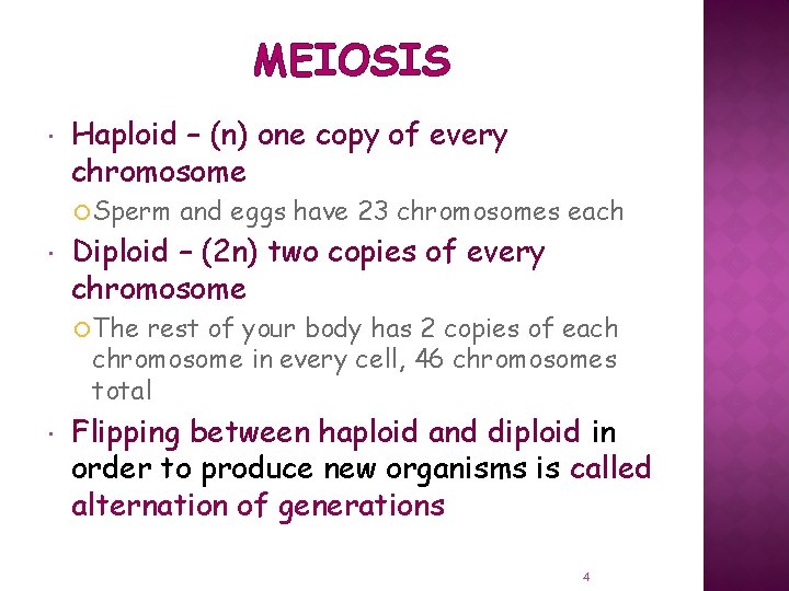 MEIOSIS Haploid – (n) one copy of every chromosome Sperm and eggs have 23