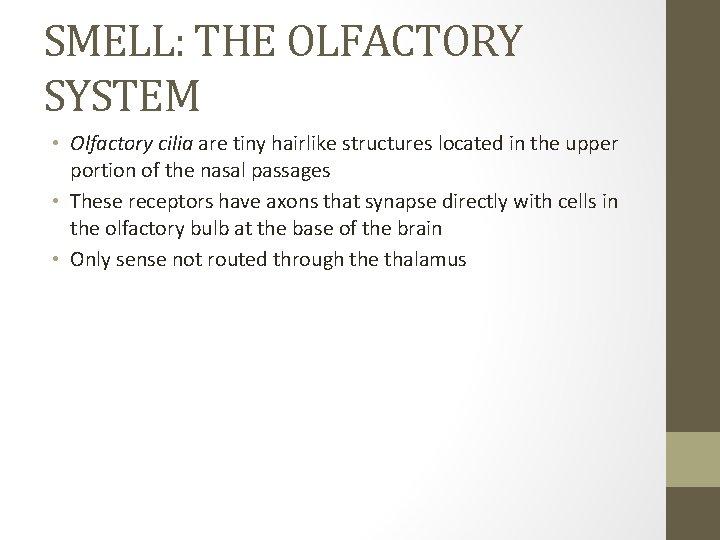 SMELL: THE OLFACTORY SYSTEM • Olfactory cilia are tiny hairlike structures located in the