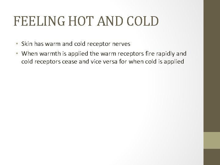 FEELING HOT AND COLD • Skin has warm and cold receptor nerves • When