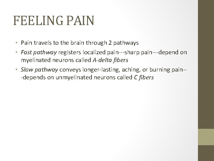 FEELING PAIN • Pain travels to the brain through 2 pathways • Fast pathway