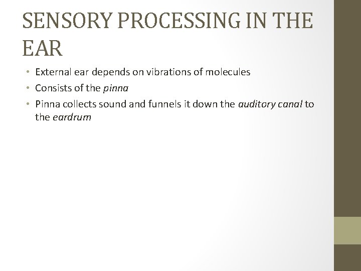 SENSORY PROCESSING IN THE EAR • External ear depends on vibrations of molecules •