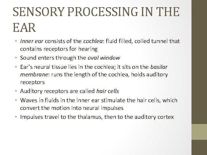 SENSORY PROCESSING IN THE EAR • Inner ear consists of the cochlea: fluid filled,