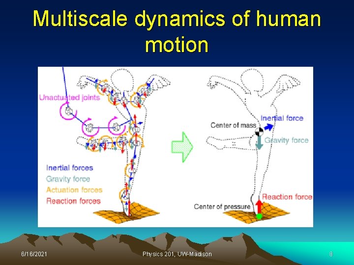 Multiscale dynamics of human motion 6/16/2021 Physics 201, UW-Madison 8 