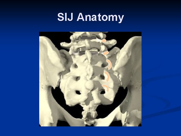 SIJ Anatomy SIJ Anatomy