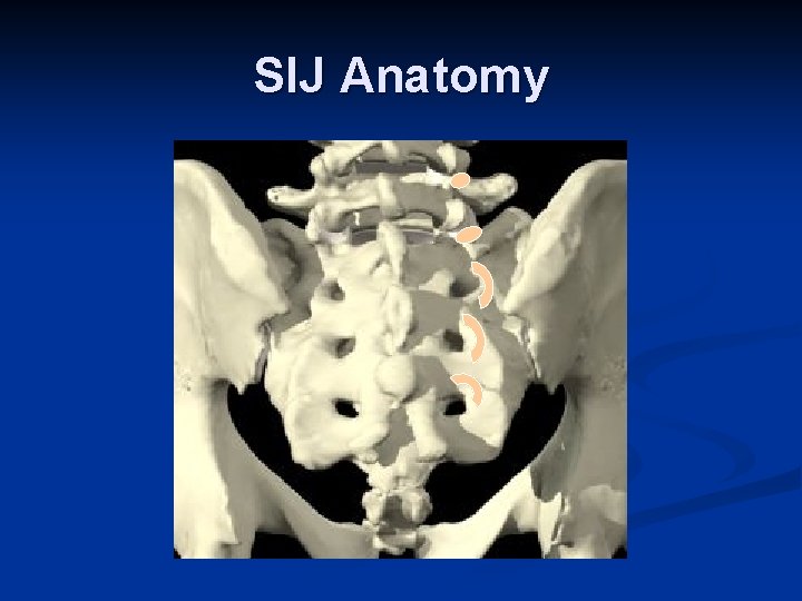 SIJ Anatomy 