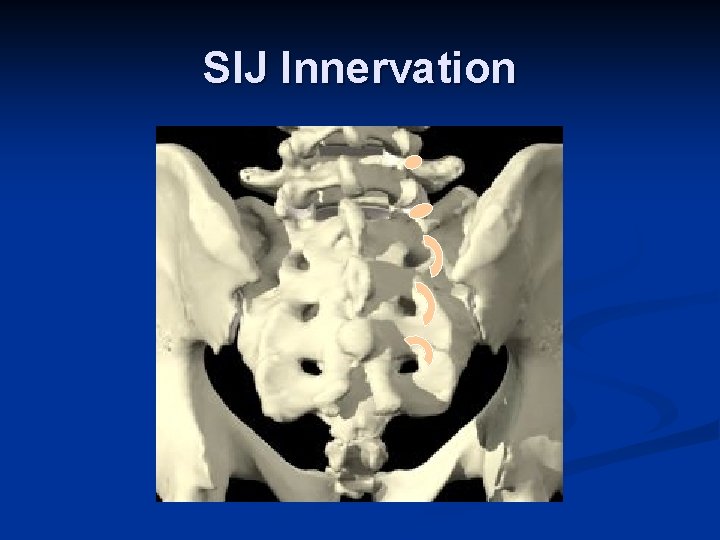 SIJ Innervation 