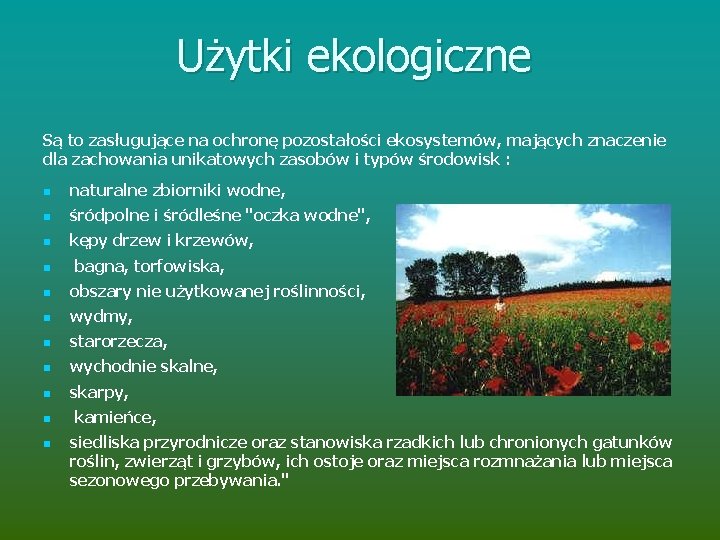 Użytki ekologiczne Są to zasługujące na ochronę pozostałości ekosystemów, mających znaczenie dla zachowania unikatowych