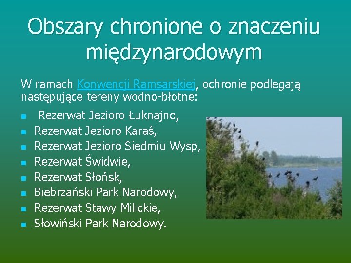 Obszary chronione o znaczeniu międzynarodowym W ramach Konwencji Ramsarskiej, ochronie podlegają następujące tereny wodno-błotne: