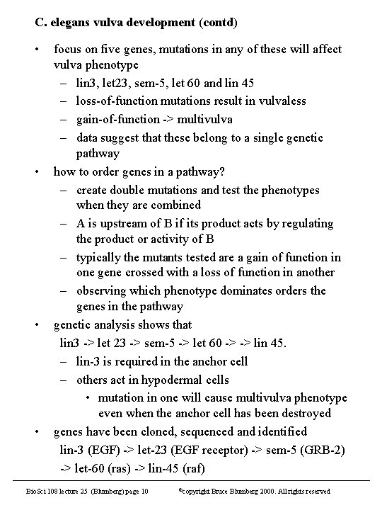 C. elegans vulva development (contd) • • focus on five genes, mutations in any